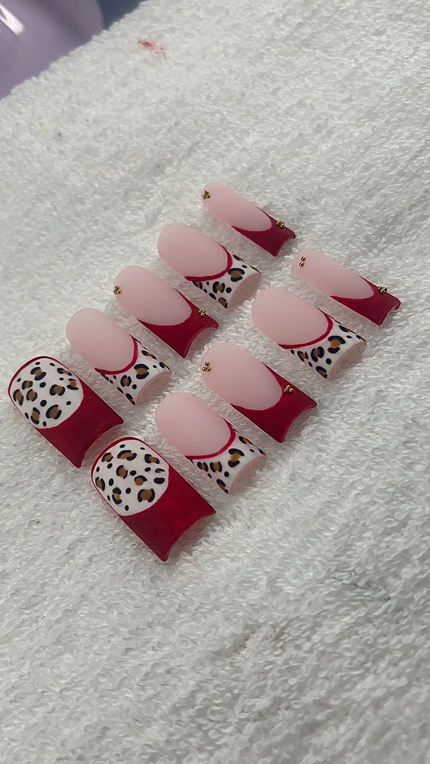 Fiesty Cheetah❤️❤️