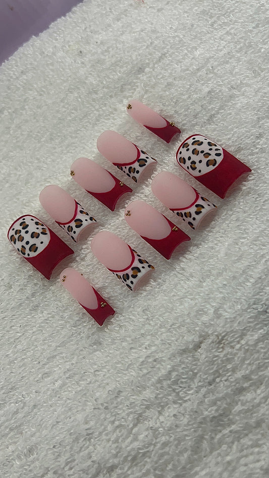 Fiesty Cheetah❤️❤️